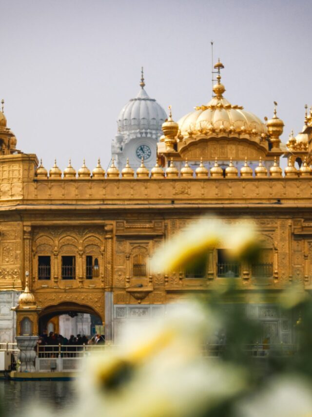 8 Must Try Dishes in Amritsar